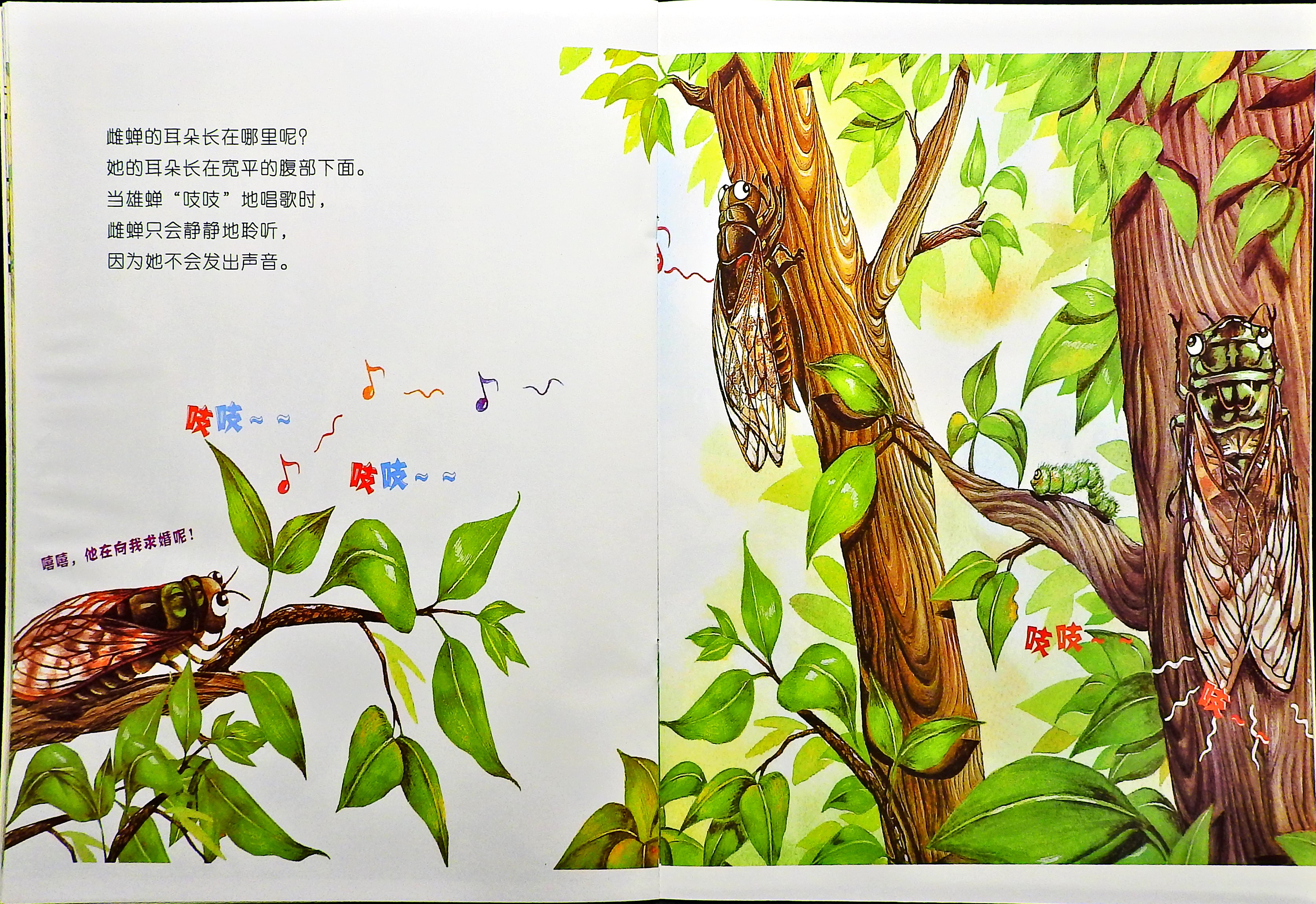 昆虫也有耳朵吗？ (09),绘本,绘本故事,绘本阅读,故事书,童书,图画书,课外阅读